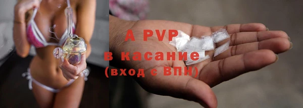 индика Навашино