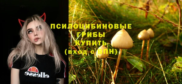 индика Навашино