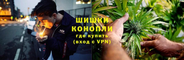 индика Навашино