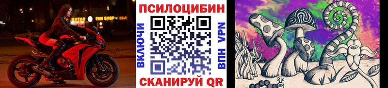 kraken ссылки Курлово Галлюциногенные грибы GOLDEN TEACHER